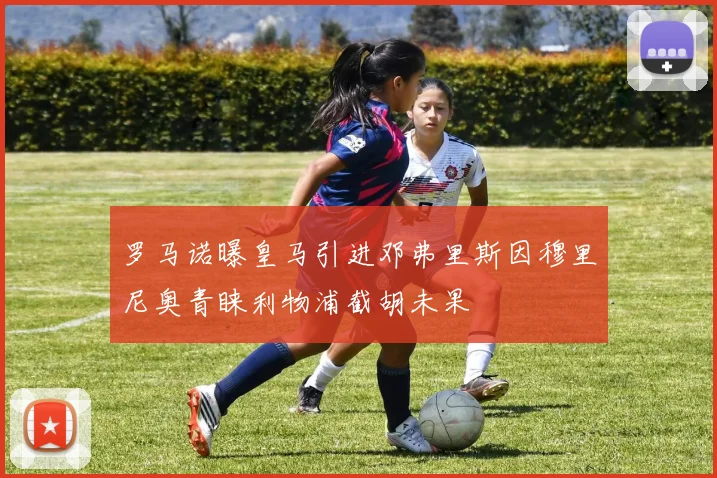 罗马诺曝皇马引进邓弗里斯因穆里尼奥青睐利物浦截胡未果
